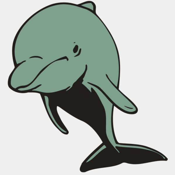 AR DOLPIN 11 RC Thumbnail