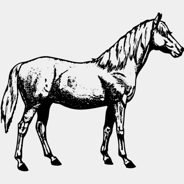 HORSE013 Thumbnail