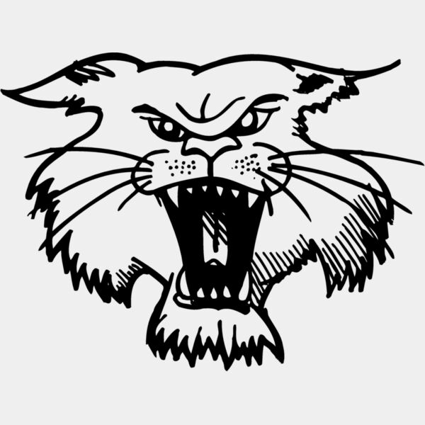 CAT01 Thumbnail