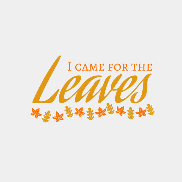 Fall Season 28 Thumbnail