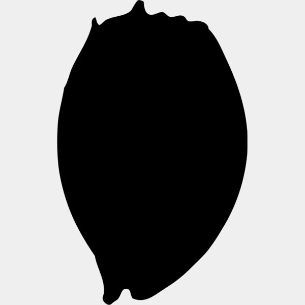 Shell Silhouette 2 Thumbnail