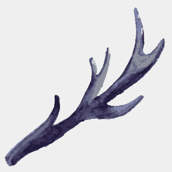 Watercolor Branch Antler 4 Thumbnail
