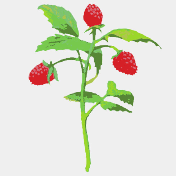 Watercolor Flower 1 Thumbnail