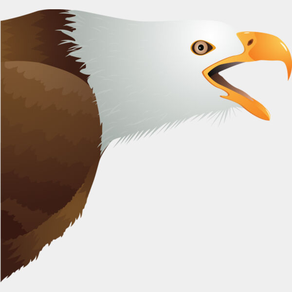 USA America Bald Eagle 1 Thumbnail